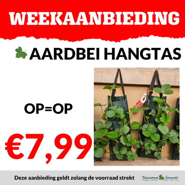 AARDBEI HANGTAS €7,99