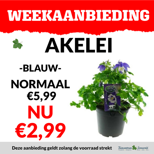 AKELEI €2,99