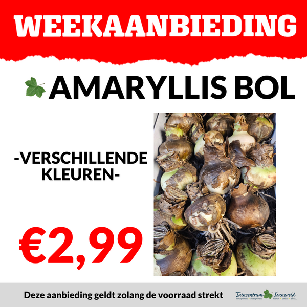 AMARYLLISBOL €2,99