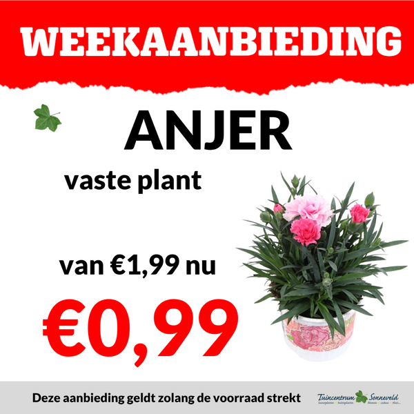 ANJER