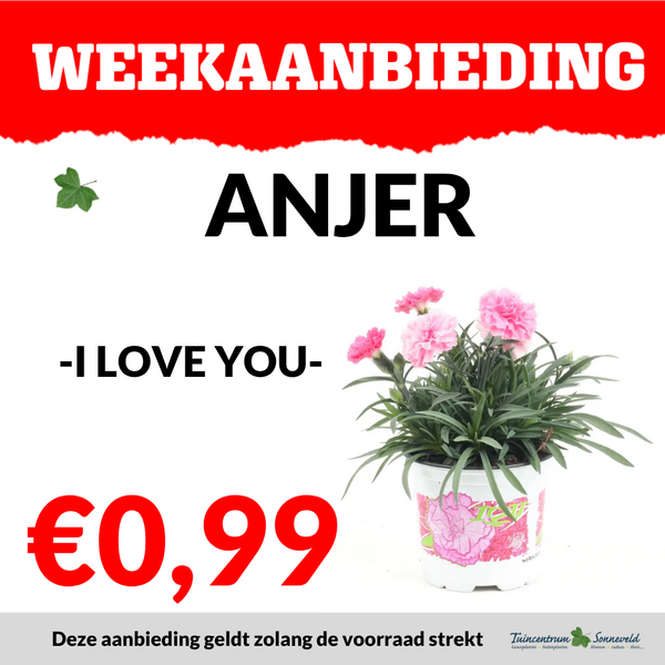 ANJER €0,99