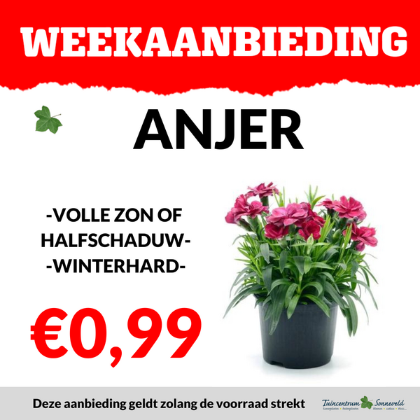 ANJERS €0,99