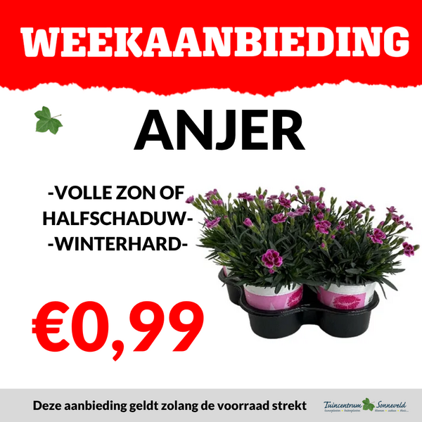 ANJERS €0,99