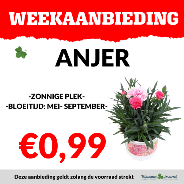 ANJERS €0,99