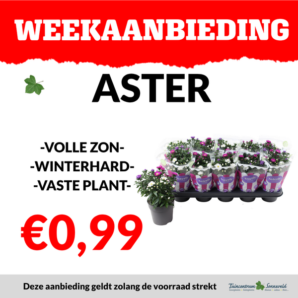 ASTER €0,99