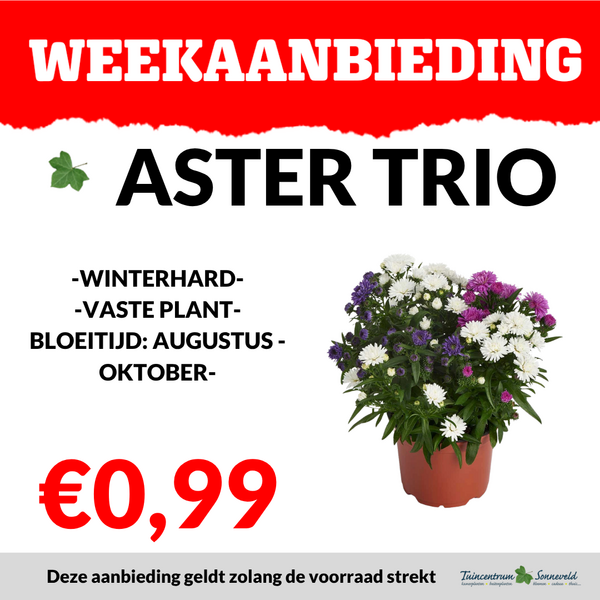ASTER TRIO €0,99