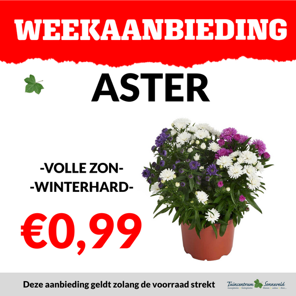 ASTERS €0,99