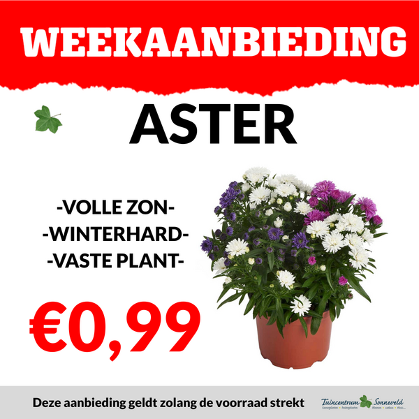 ASTERS €0,99