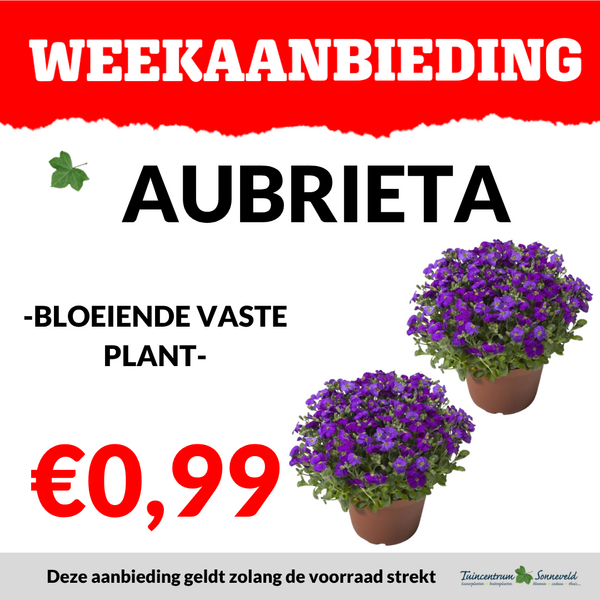 AUBRIETA €0,99