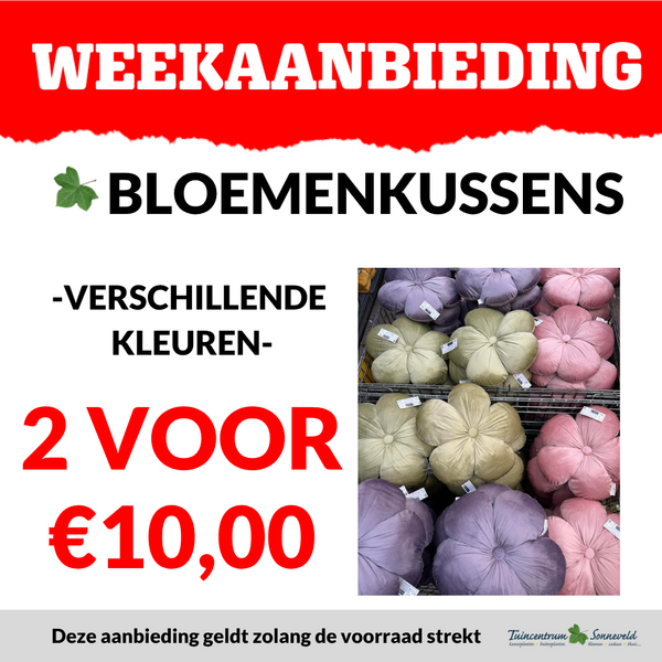 BLOEMENKUSSENS 2 VOOR €10,00
