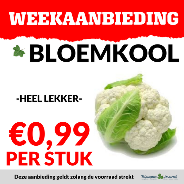 BLOEMKOOL €0,99