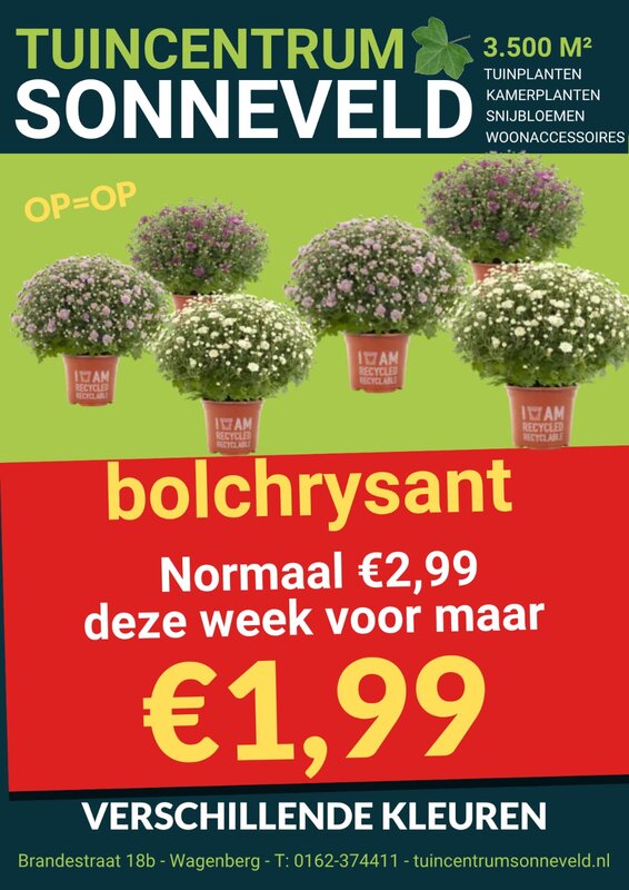 BOLCHRYSANT €1,99
