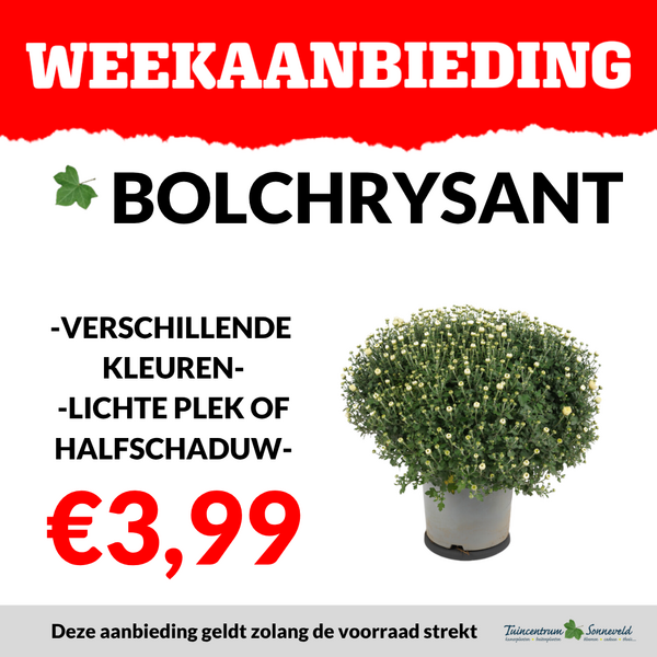 BOLCHRYSANT €3,99