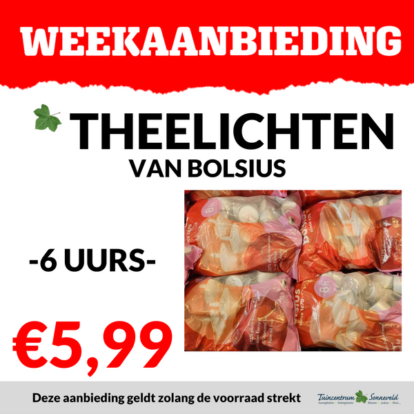 BOLSIUS THEELICHTEN €5,99