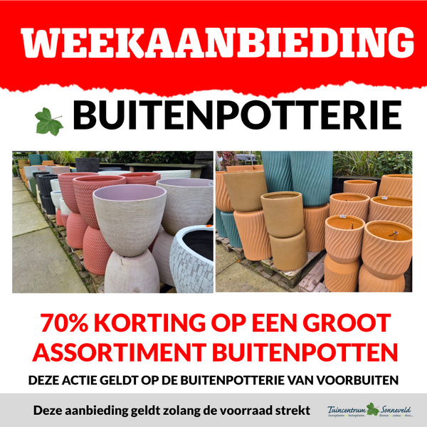 BUITENPOTTERIE 70% KORTING