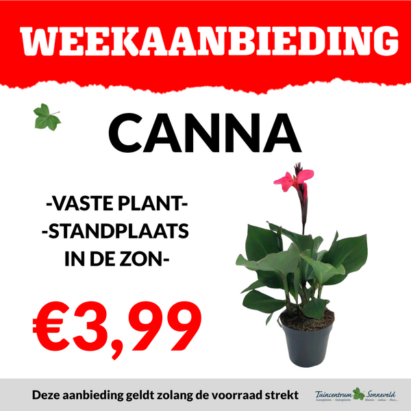 CANNA €3,99