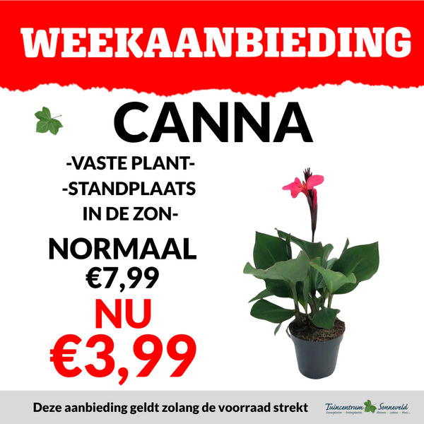 CANNA €3,99