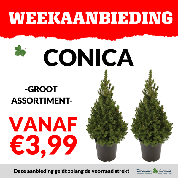 CONICA VANAF €3,99