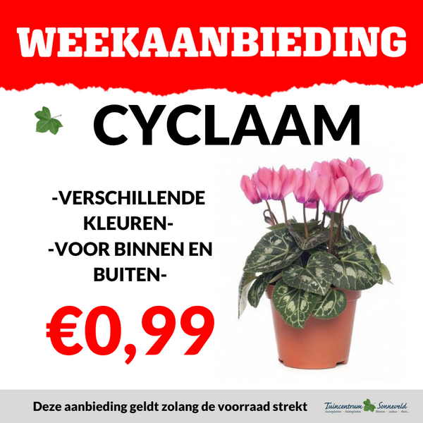 CYCLAAM €0,99