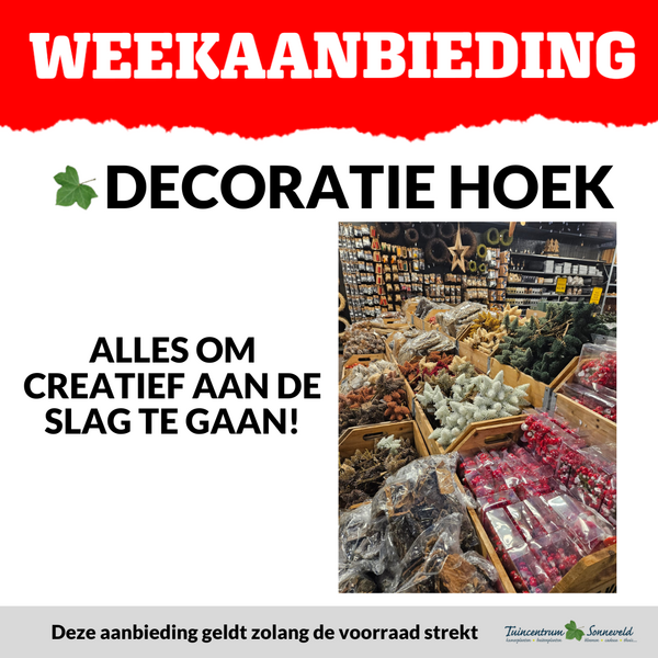 DECORATIE HOEK
