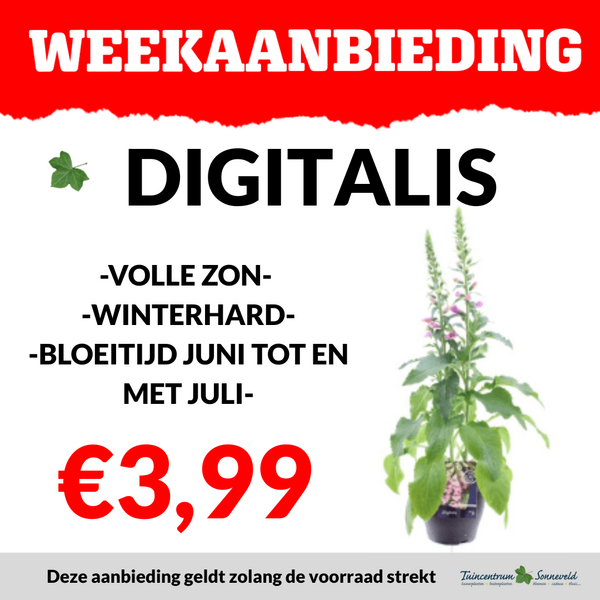 DIGITALIS €3,99