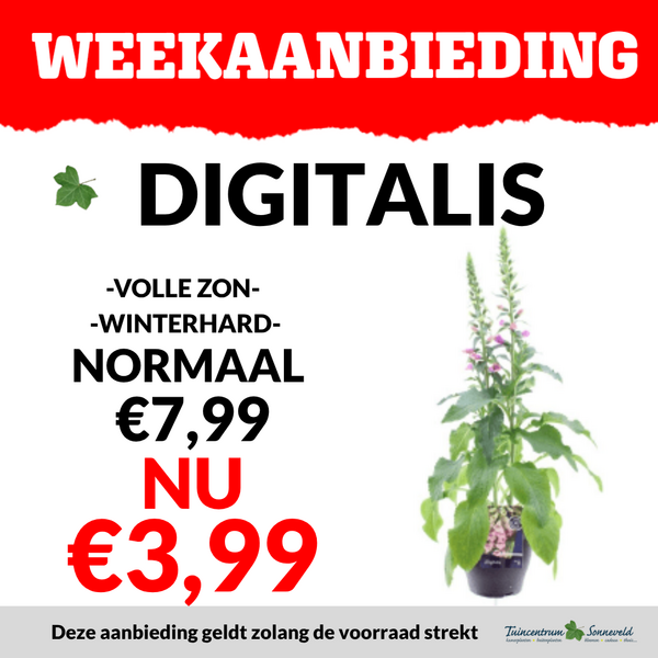 DIGITALIS €3,99