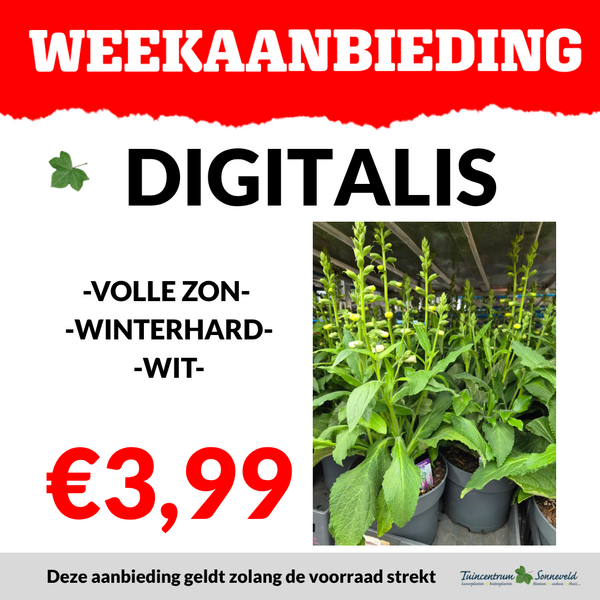 DIGITALIS €3,99