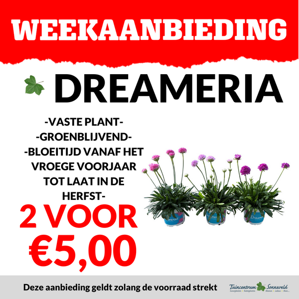 DREAMERIA 2 VOOR €5,00