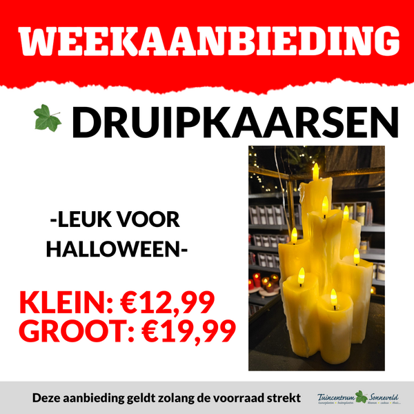 DRUIPKAARSEN