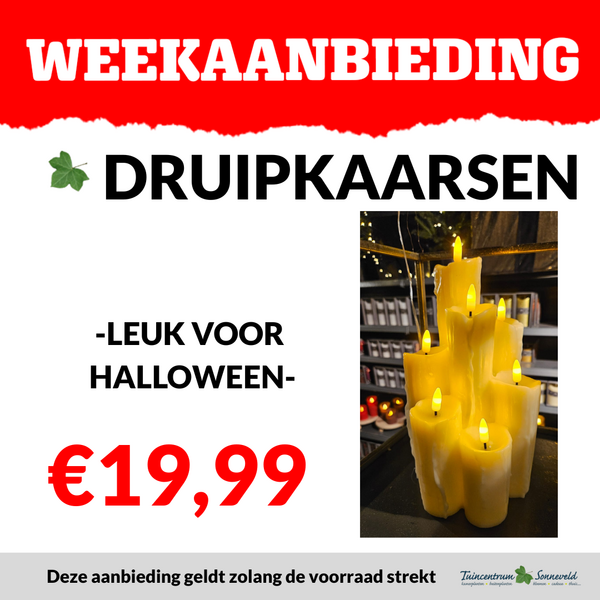 DRUIPKAARSEN €19,99