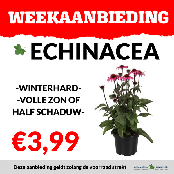 ECHINACEA €3,99