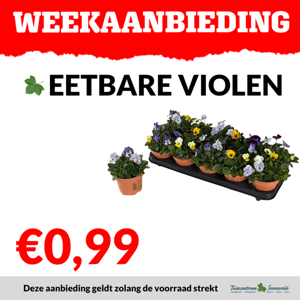 EETBARE VIOLEN €0,99