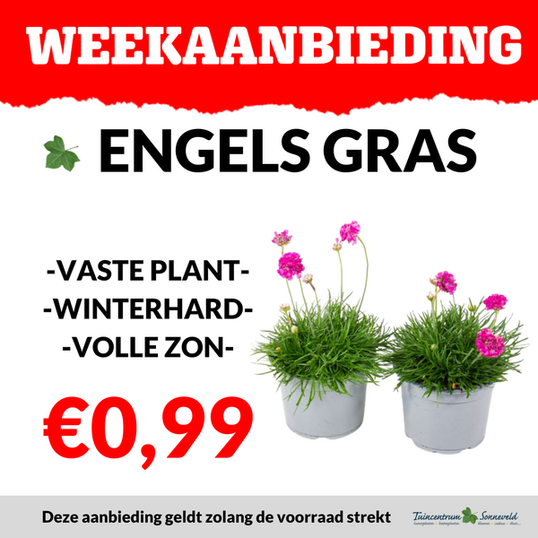 ENGELS GRAS €0,99