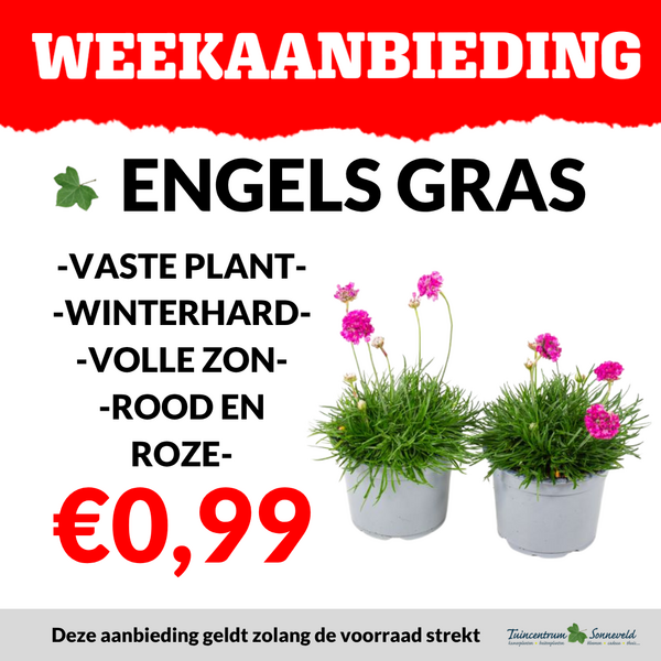 ENGELS GRAS €0,99