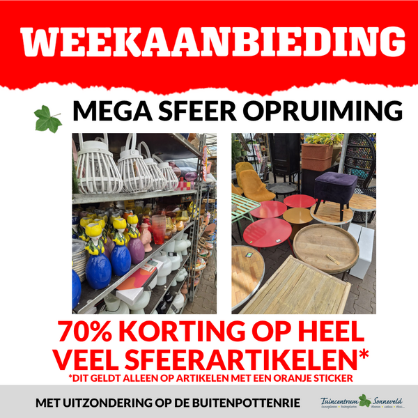 FINAL SALE SFEERUITVERKOOP 70% KORTING
