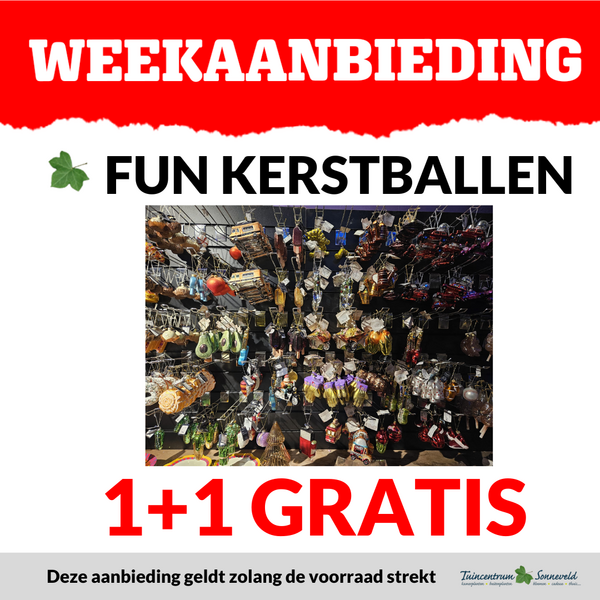 FUN KERSTBALLEN 1+1 GRATIS