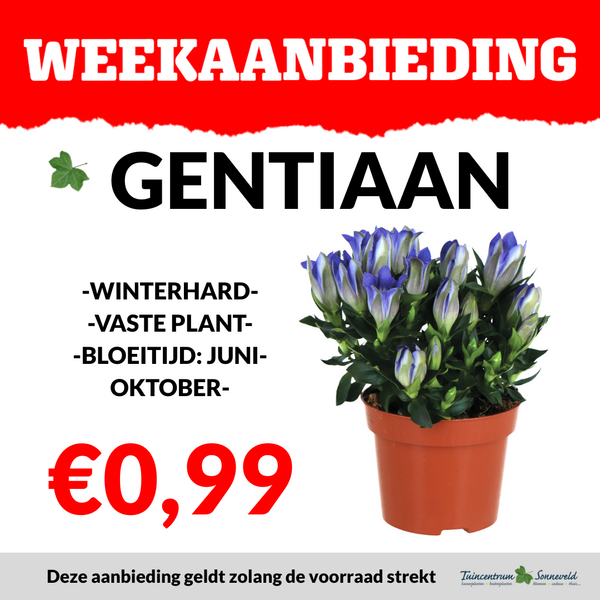 GENTIAAN €0,99