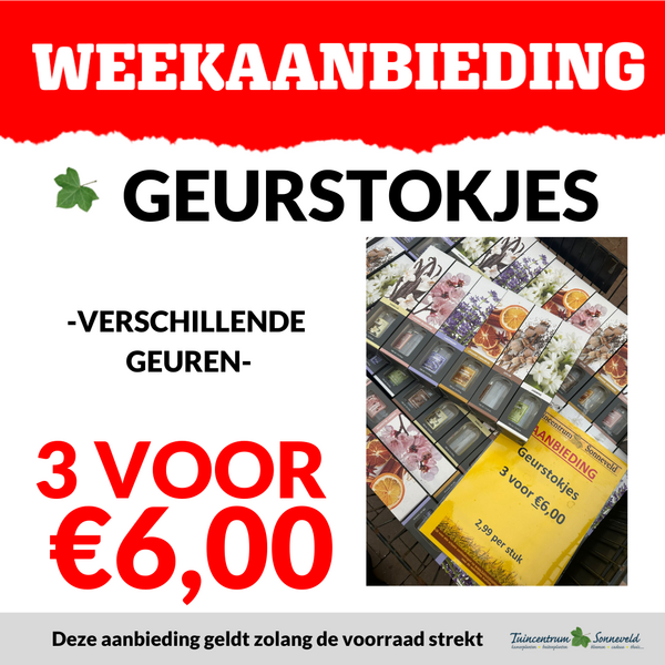 GEURSTOKJES 3 VOOR €6,00
