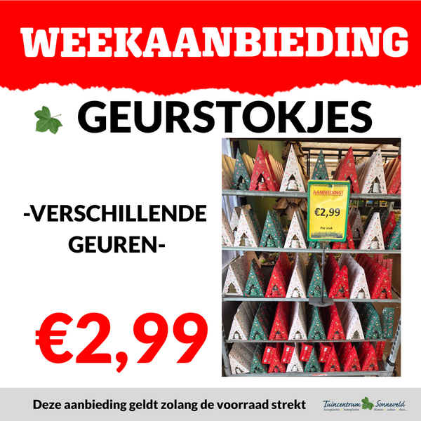 GEURSTOKJES €2,99
