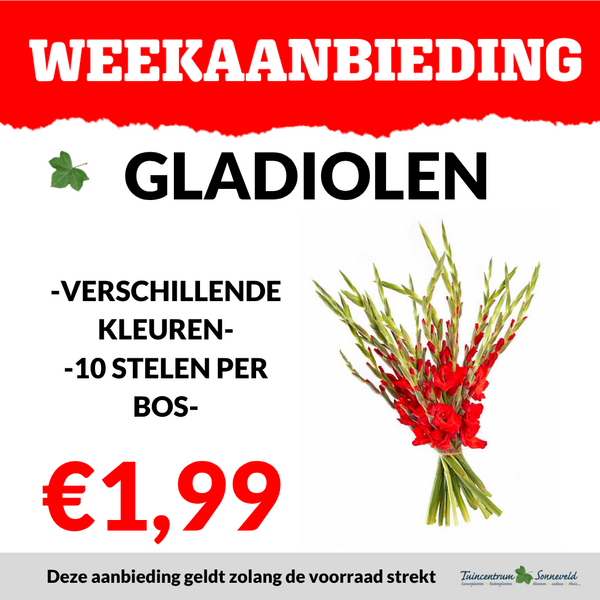 GLADIOLEN €1,99