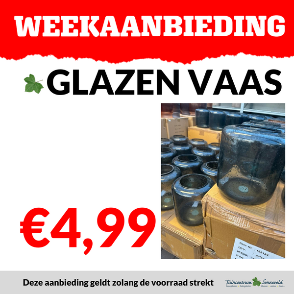 GLAZEN VAZEN €4,99