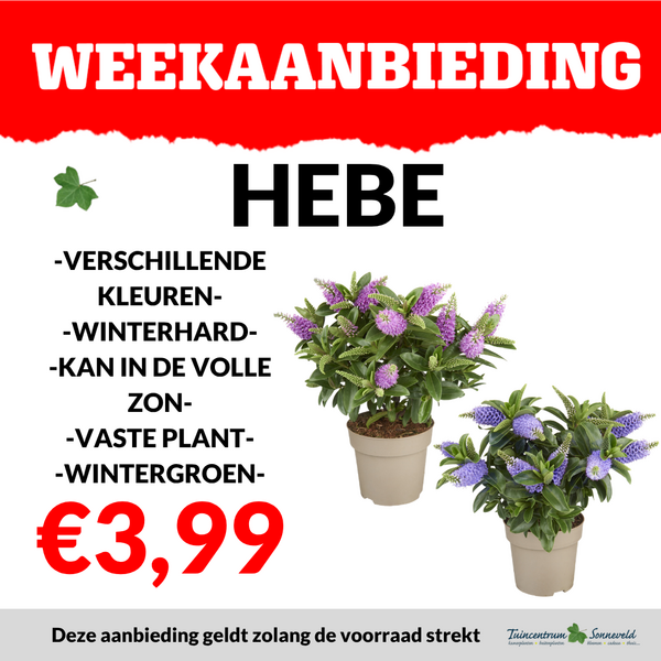 HEBE €3,99