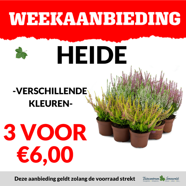 HEIDE 3 VOOR €6,00