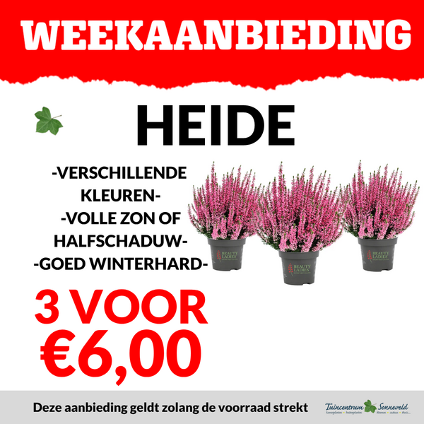 HEIDE 3 VOOR €6,00