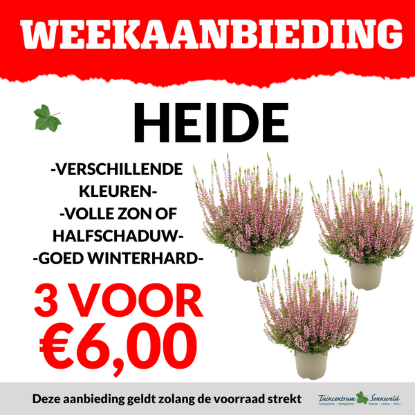 HEIDE 3 VOOR €6,00