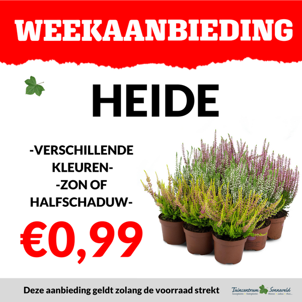 HEIDE €0,99