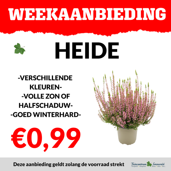 HEIDE €0,99