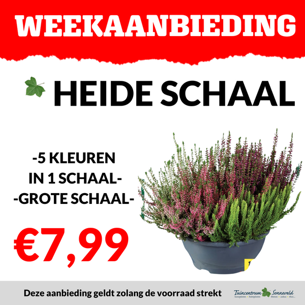 HEIDE SCHAAL €5,99