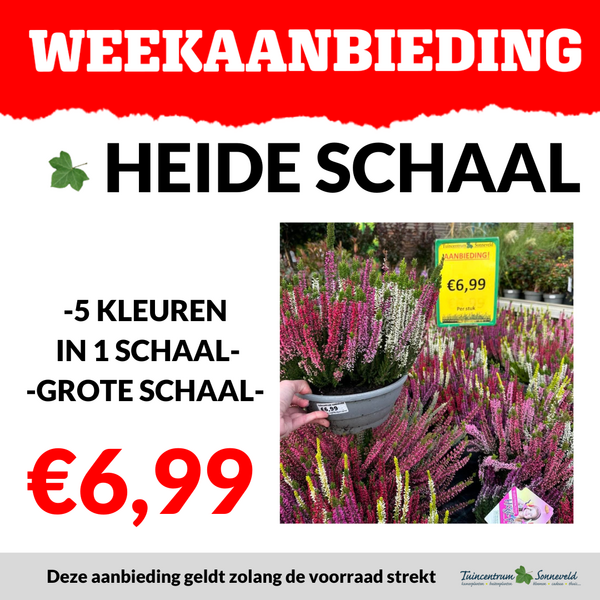 HEIDE SCHAAL €6,99