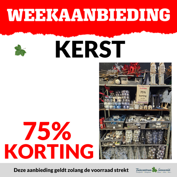 KERST 75% KORTING